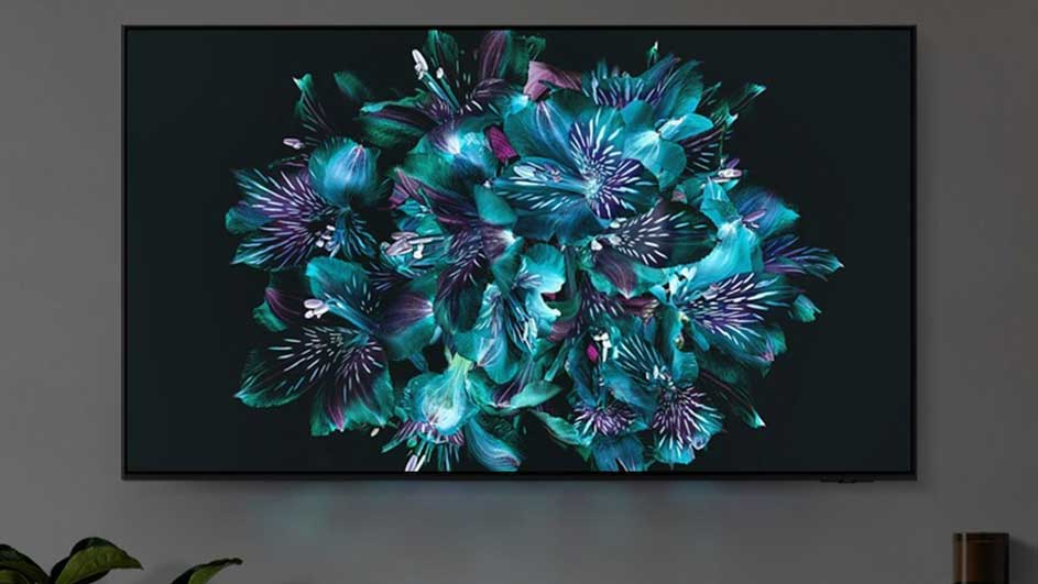 Un téléviseur à écran plat montre un bouquet floral bleu et violet sur un mur gris, avec une plante en bas à gauche.