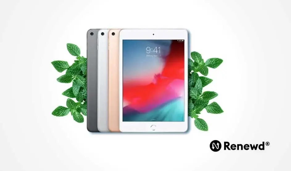 Drie iPads in grijs, zilver en goud staan naast groene takjes op een witte achtergrond. Het scherm toont een abstracte afbeelding.
