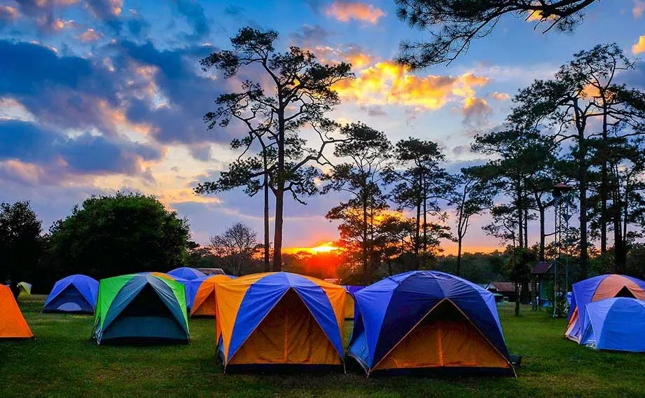 Image de camping avec des tentes colorées sur l'herbe, sous un ciel au coucher du soleil avec des arbres en arrière-plan.