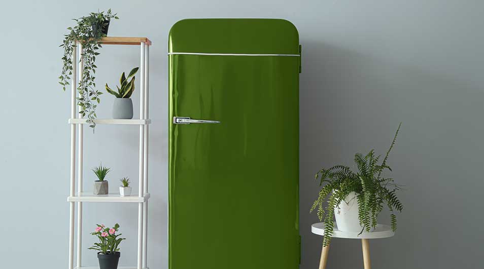 Groene retro koelkast naast een witte stellingkast met planten en een klein wit tafeltje met een varenplant.