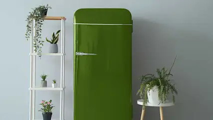 Groene retro koelkast naast een witte stellingkast met planten en een klein wit tafeltje met een varenplant.