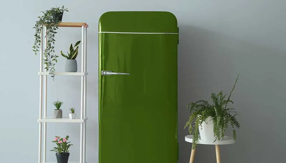 Groene retro koelkast naast een witte stellingkast met planten en een klein wit tafeltje met een varenplant.