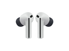 Earphones