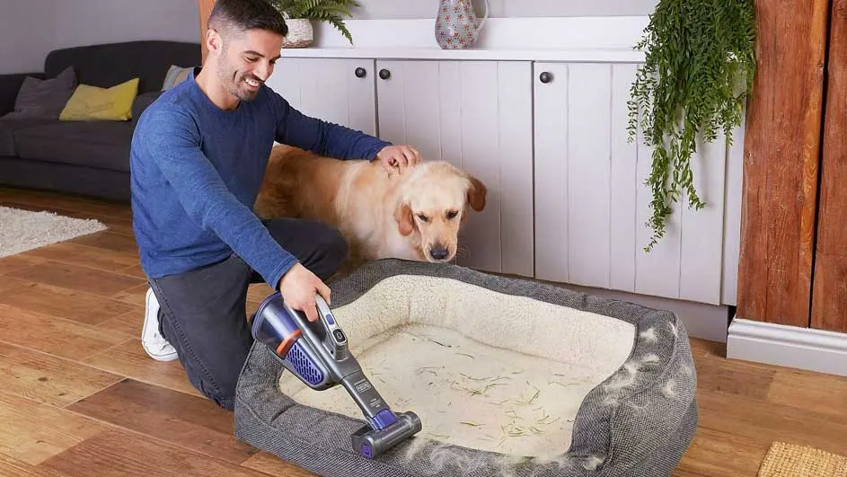 Un homme utilise un aspirateur à main sur un lit pour chien à côté d'un chien, sur un plancher en bois avec des armoires blanches en arrière-plan.