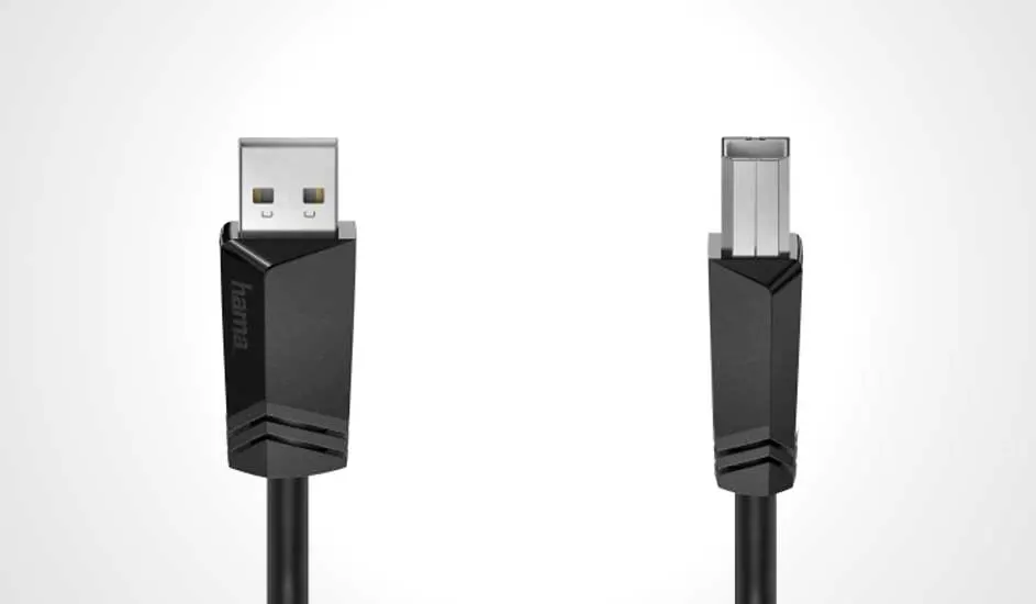 Deux câbles USB noirs avec embouts argentés sur fond blanc.