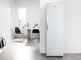 Frigo armoire