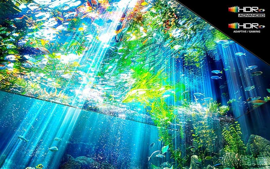 Un écran lumineux montre un monde sous-marin vif avec poissons, rayons de soleil et logos HDR10+ en haut à droite.