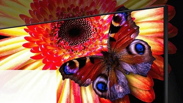 Close-up van tvscherm met felgekleurde bloem en vlinder, die de levendige kleuren en scherpte van het display benadrukken.