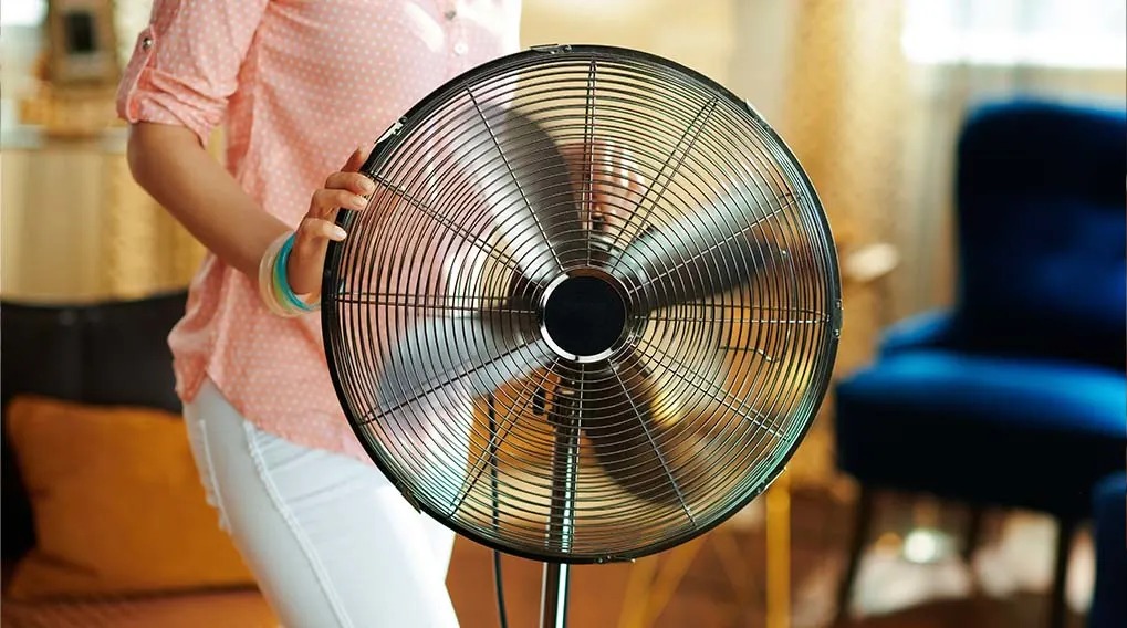 Un ventilateur noir sur pied est tenu. En arrière-plan, un fauteuil bleu foncé et un canapé brun sont visibles.