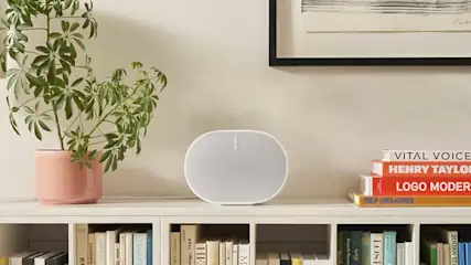 Étagère blanche avec plante en pot rose, haut-parleur gris, livres et œuvre d'art encadrée sur un mur beige.