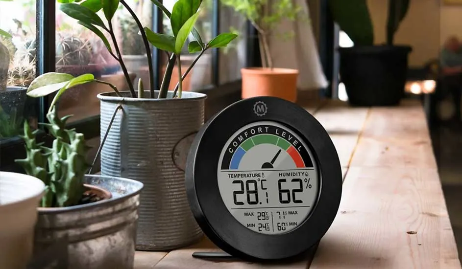 Een zwarte thermometer toont 28,5 graden en 62% luchtvochtigheid, op een houten oppervlak met planten.
