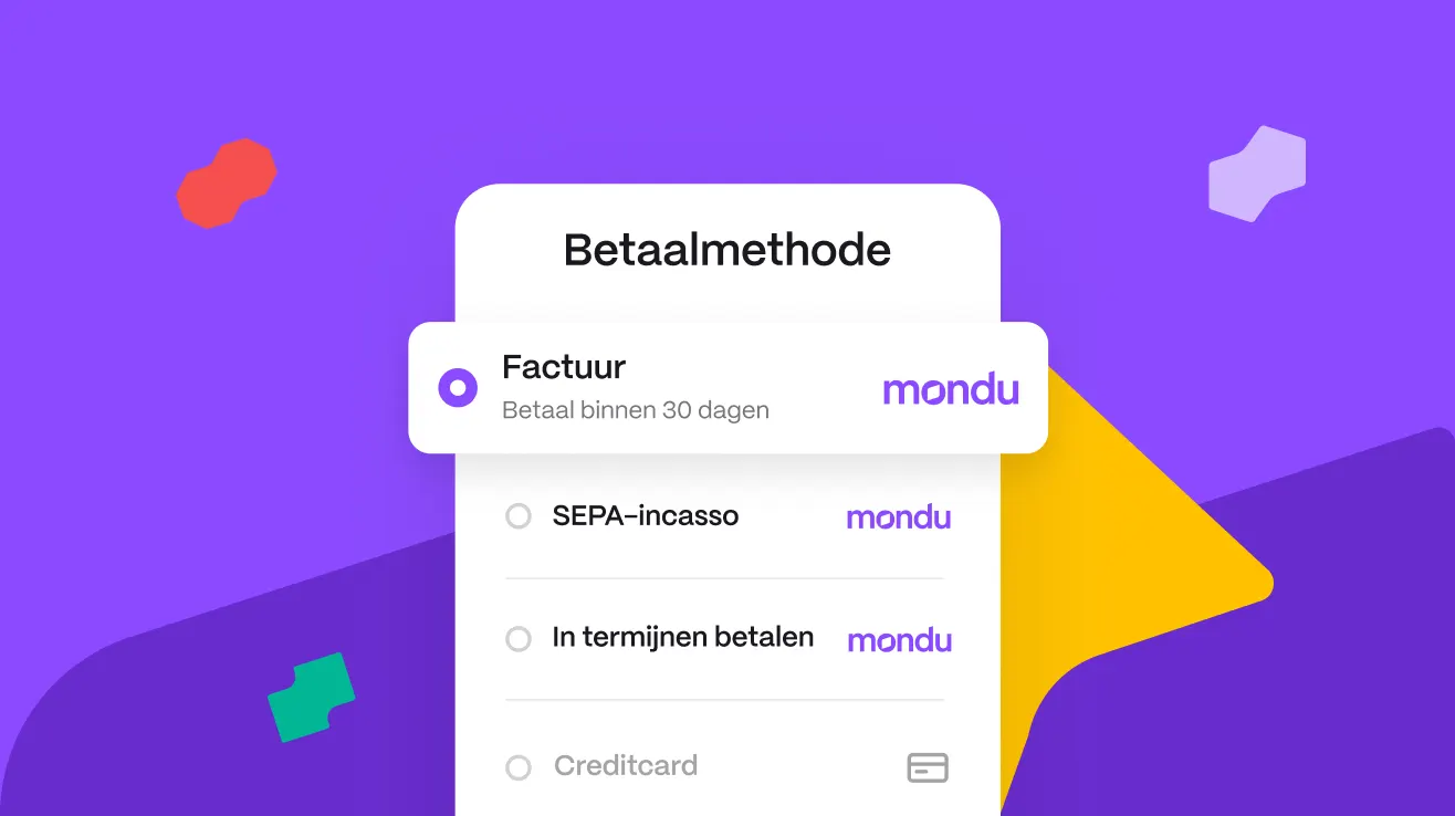 Betaalmethodes scherm met factuur, SEPA-incasso, in termijnen betalen en creditcard opties op een paarse achtergrond.