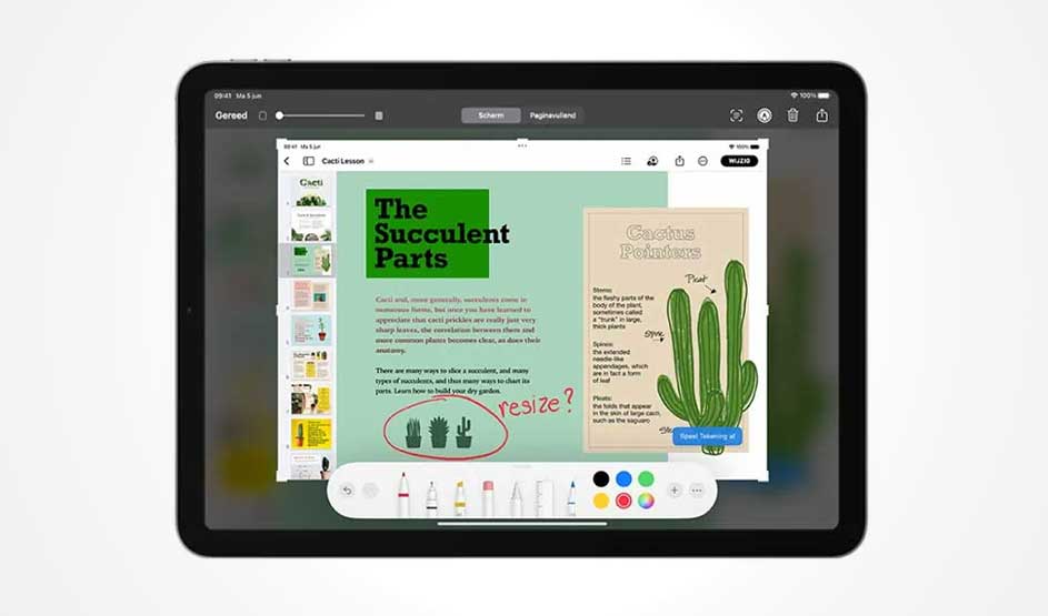 Tablette noire affichant une leçon sur les cactus avec des outils de dessin en bas de l'écran.