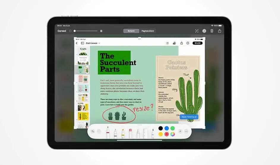 Tablette noire affichant une leçon sur les cactus avec des outils de dessin en bas de l'écran.