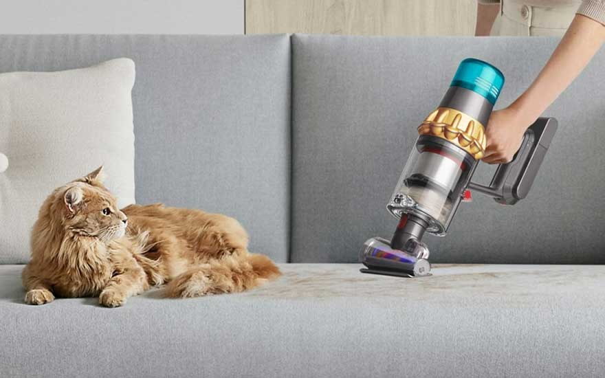 Un chat roux est allongé sur un canapé gris à côté d'un aspirateur sans fil tenu par une main.