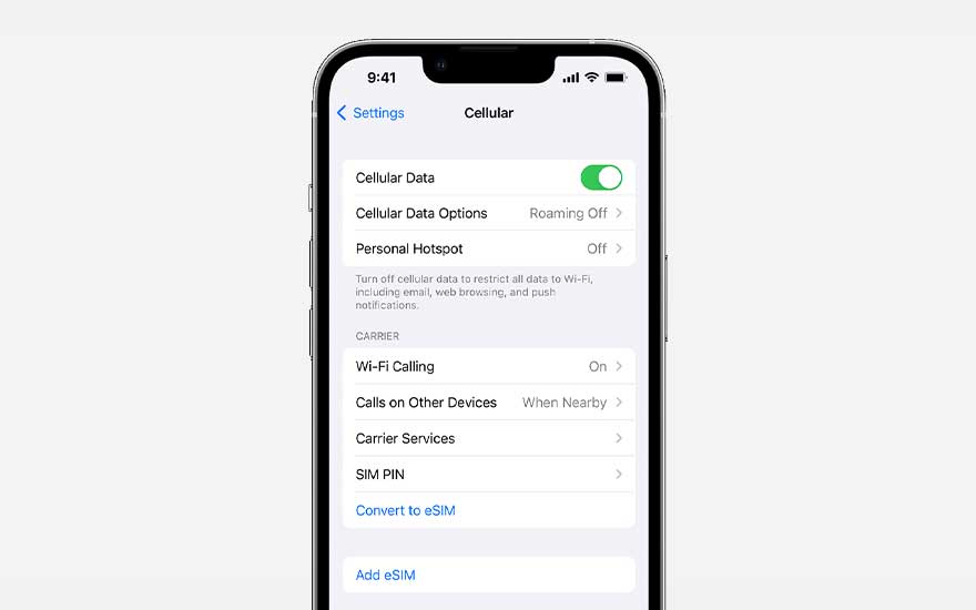 Un iPhone affiche les paramètres cellulaires avec les données cellulaires activées, le point d'accès désactivé et l'appel Wi-Fi activé.