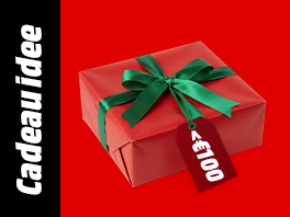 Cadeau-ideeën onder € 100