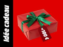 Idées cadeaux à moins de 100 