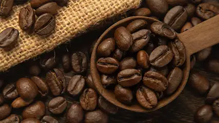 Gros plan de grains de café bruns dans une cuillère en bois et sur un sac en toile de jute.