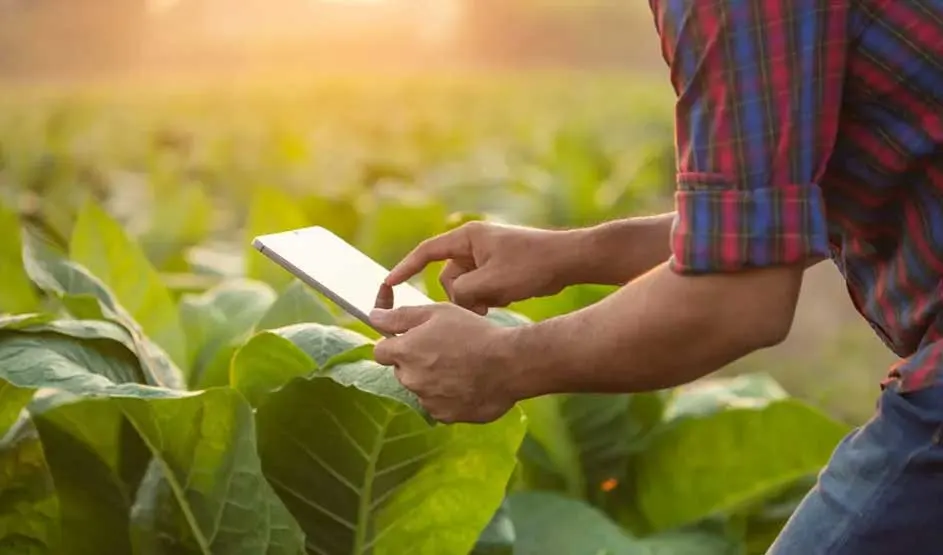 Un homme utilise une tablette dans un champ vert. Il porte une chemise à carreaux et un jean. Le soleil brille en arrière-plan.