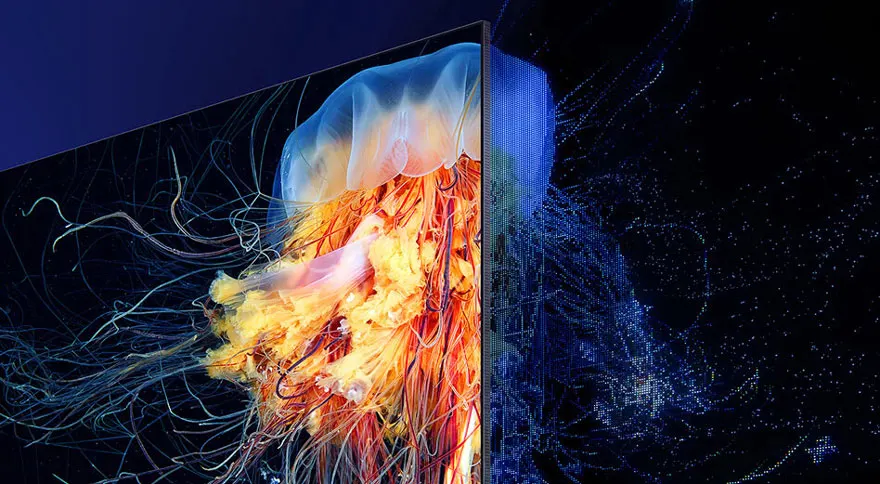 Close-up of a Samsung TV displaying a colourful jellyfish, with a thin screen and vivid picture quality against a dark background.