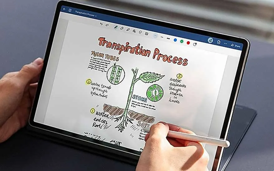 Un écran de tablette affiche un schéma annoté du processus de transpiration des plantes, dessiné avec un stylet blanc.