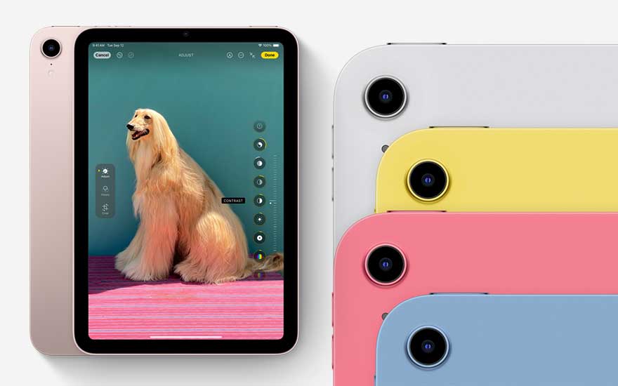 Een iPad toont een bewerking van een hondenfoto. Naast de iPad liggen iPads in wit, geel, roze en blauw.