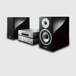 Boîtier noir, Enceinte et amplificateur argenté sur fond gris clair. Équipement audio.