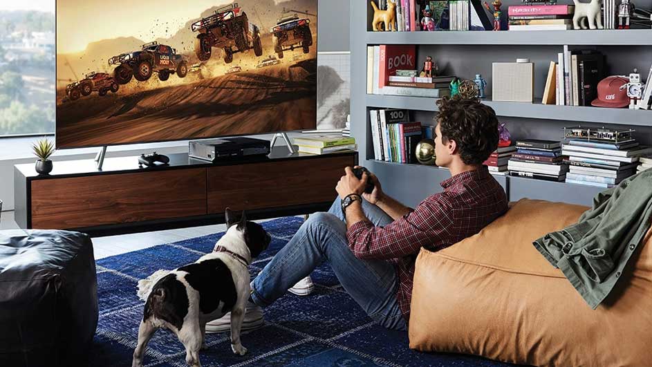 Salon avec TV montrant des courses de véhicules. Un chien noir et blanc se tient sur un tapis bleu.