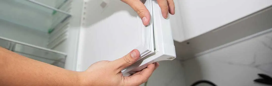 Une personne tient une étagère blanche près d'un réfrigérateur blanc avec des étagères en verre.