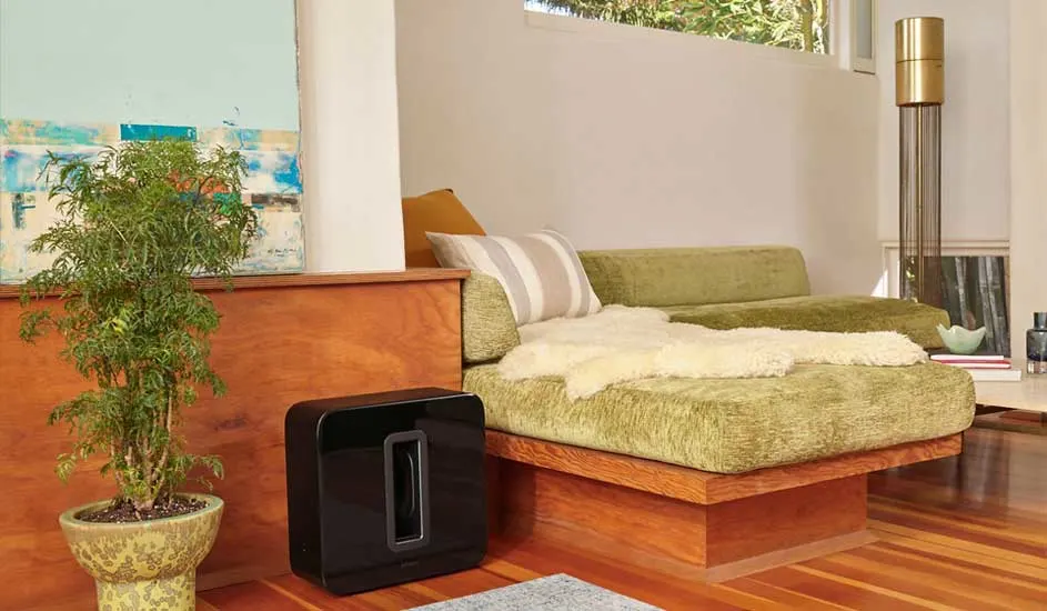 Een woonkamer met houten vloer, een groene bank met kussens, een zwarte speaker, en een plant in een pot.