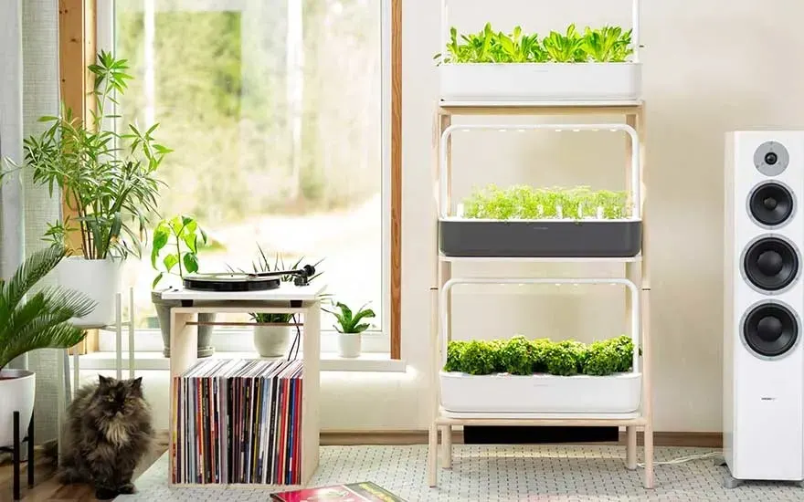 Een grote Click & Grow plantenbak met drie lagen vol groene planten staat naast een raam; een kat zit op het tapijt, platenspeler links.