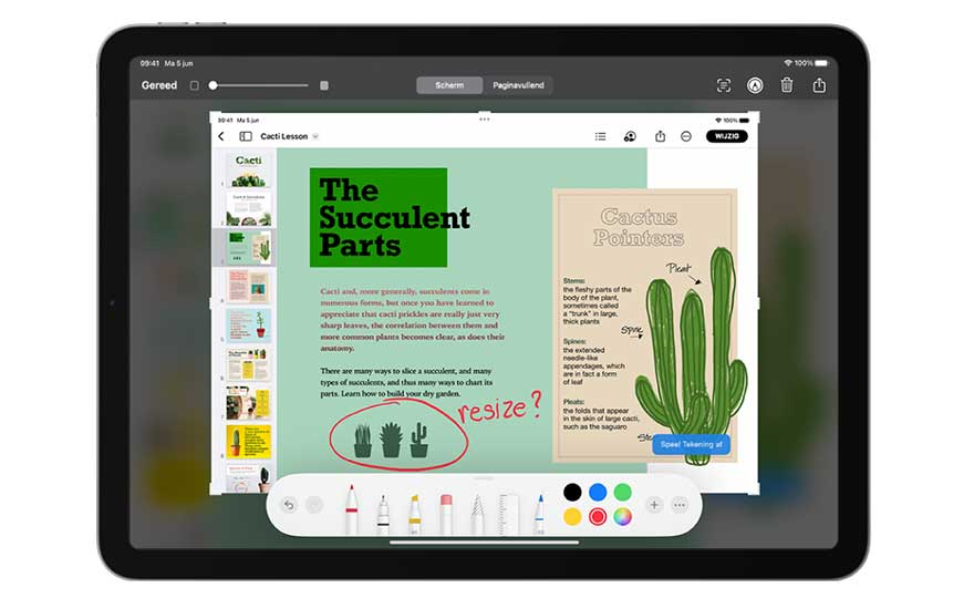 Tablette noire affichant une leçon sur les cactus avec des outils de dessin en bas de l'écran.