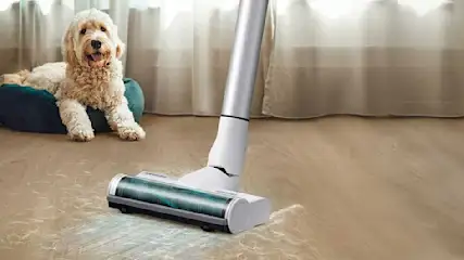 Een zilverkleurige stofzuiger op een houten vloer, met op de achtergrond een blauw kussen en een beige gordijn.