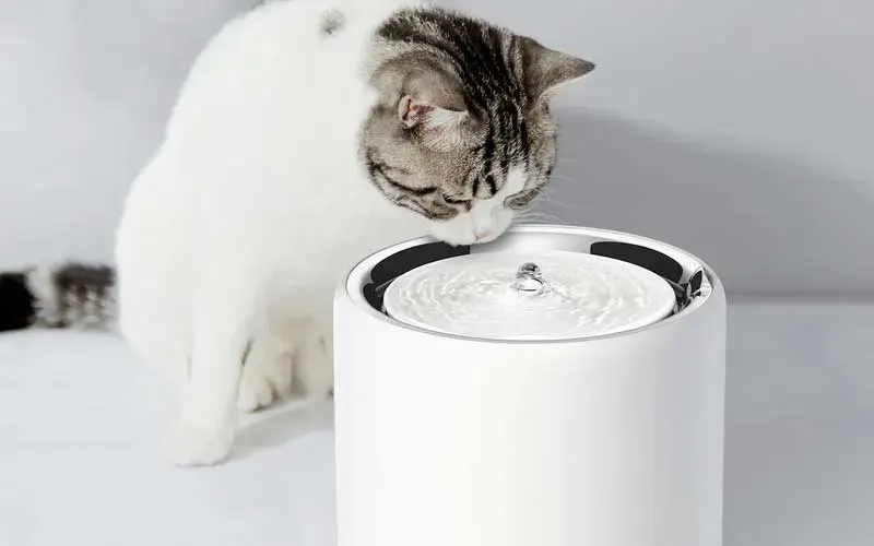 Kat drinkt uit een witte automatische drinkfontein.