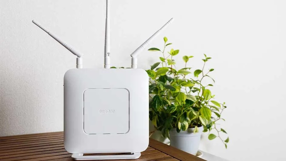 Un routeur Wi-Fi blanc avec trois antennes est posé sur une table en bois, avec une plante verte en pot à l'arrière-plan.