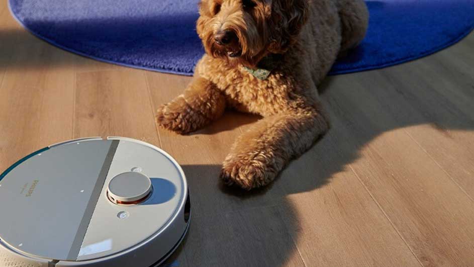Een lichtgrijze robotstofzuiger staat op een houten vloer, naast een bruine hond en een blauw tapijt.