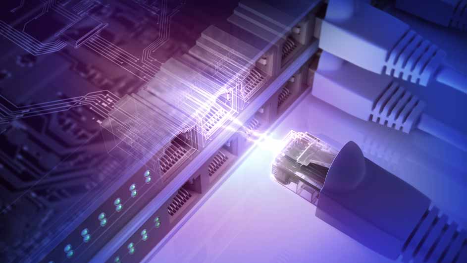 Gros plan d'un câble Ethernet blanc connecté à un port sur un panneau de brassage, avec des circuits imprimés violets en arrière-plan.