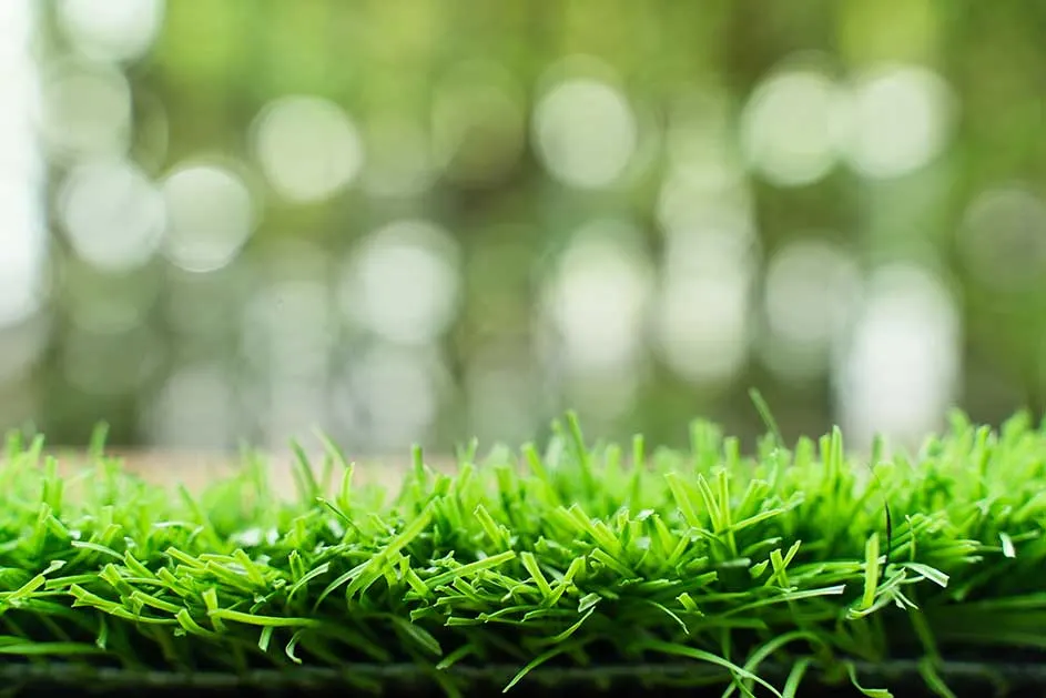 Gros plan sur du gazon artificiel vert vif, avec un fond flou de verdure et de lumière naturelle.