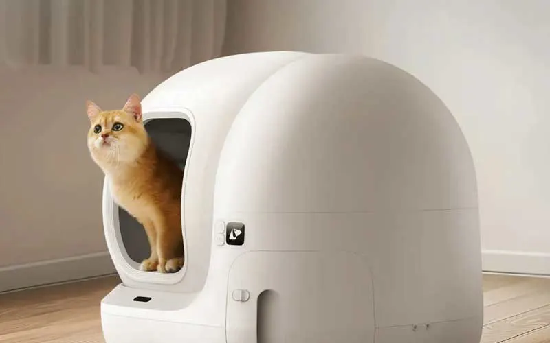 Oranje kat kruipt uit een witte automatische kattenbak.