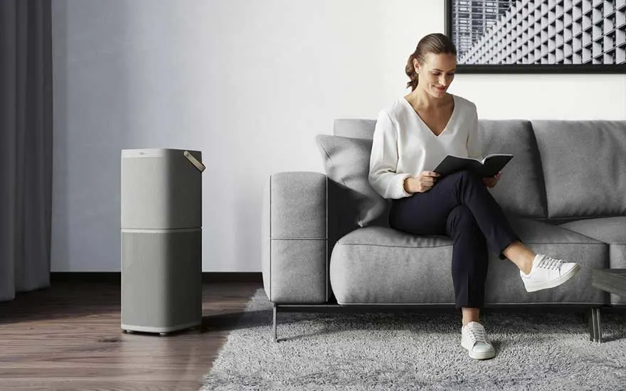 Salon lumineux avec canapé gris, tapis, purificateur d'air et parquet. Une photo en noir et blanc est accrochée au mur.