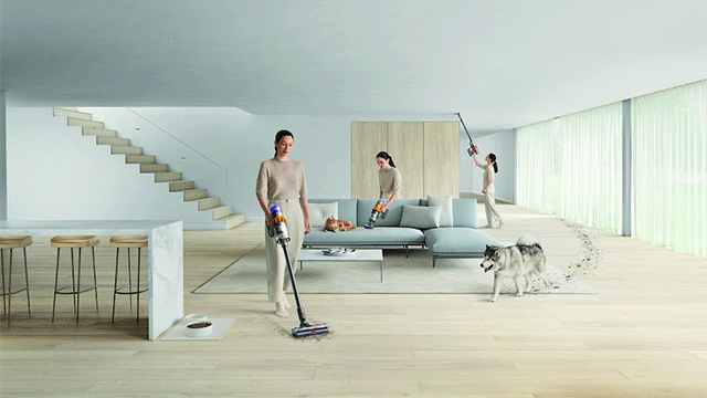 Intérieur lumineux avec parquet clair. Aspirateurs, canapé bleu, escalier blanc, tabourets de bar et chien husky présents.