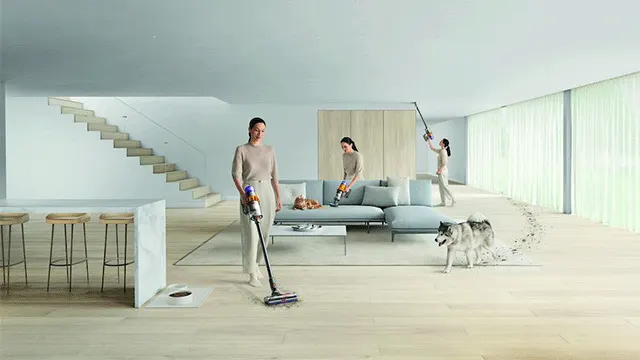 Intérieur lumineux avec parquet clair. Aspirateurs, canapé bleu, escalier blanc, tabourets de bar et chien husky présents.