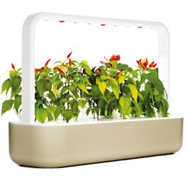 Smart garden