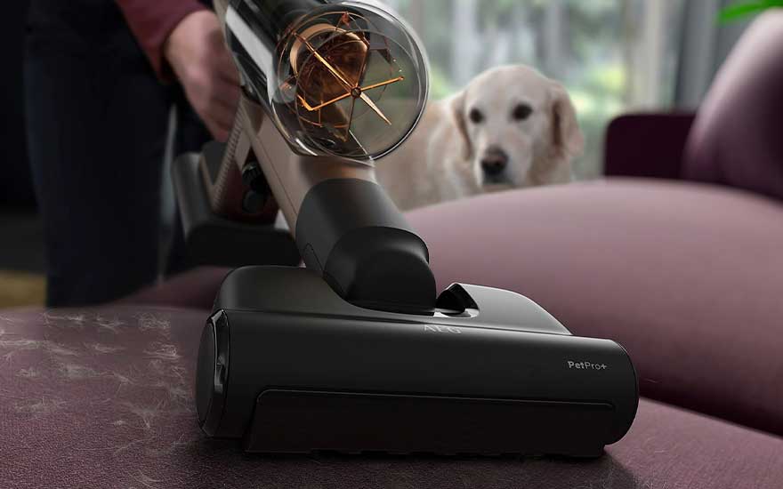 Un aspirateur noir nettoie un canapé violet. Un chien beige est visible à l'arrière-plan.