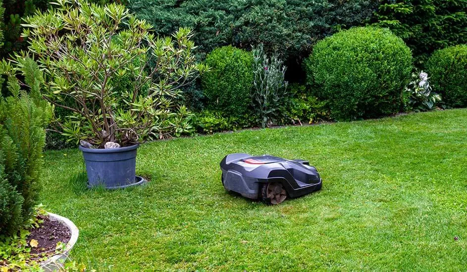 Een Husqvarna robotmaaier rijdt zelfstandig over het groene gazon naast een grote potplant en struiken.