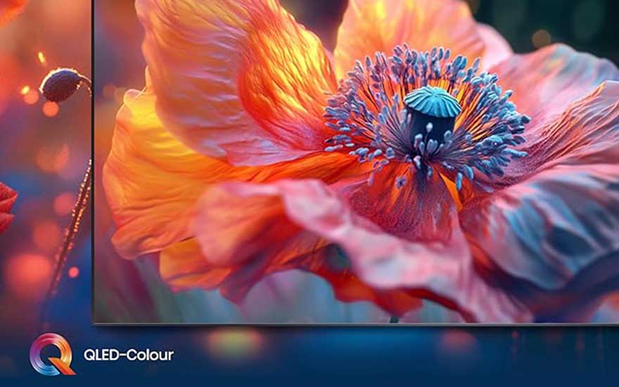 Un téléviseur QLED-Colour affiche une fleur en gros plan avec des tons orange, roses et bleus très vifs.