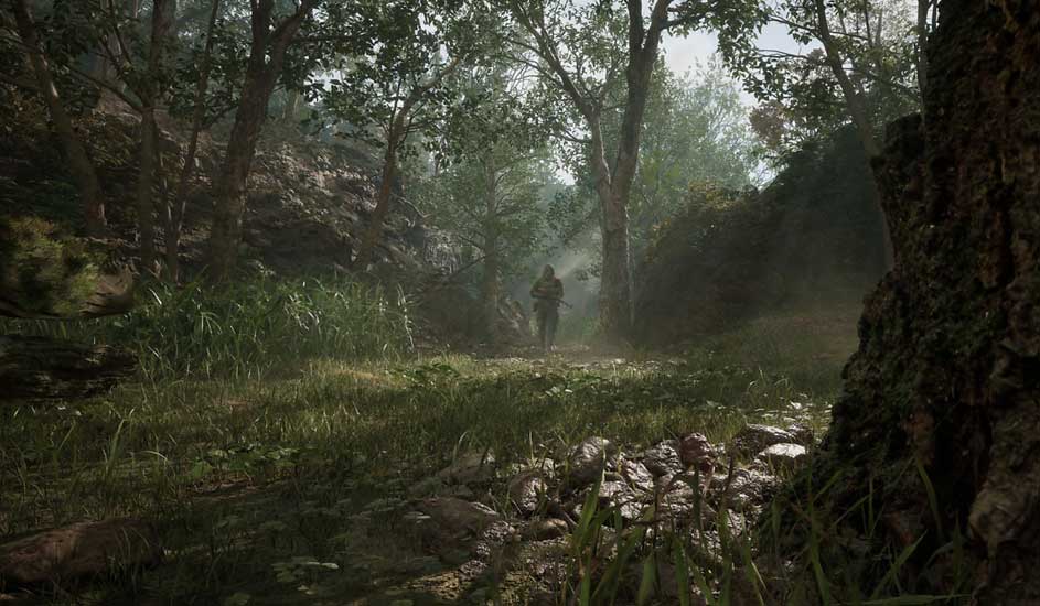 Dichte jungle-scène met soldaat in de verte, weelderige vegetatie en atmosferische mist.