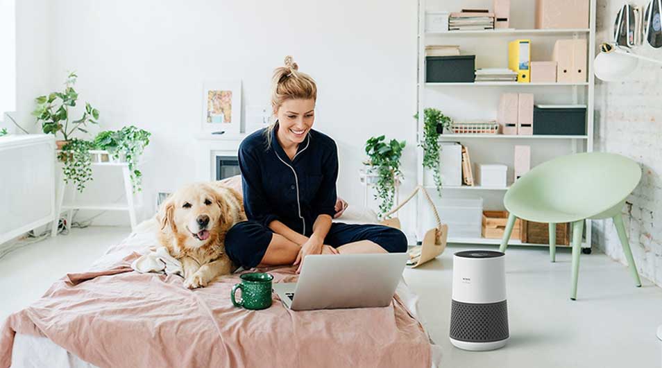 A woman in pyjamas sits on her bed using a laptop, her happy dog stretched out beside her while a small air purifier runs quietly in the bright room.