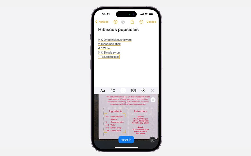 Een iPhone toont een recept voor hibiscus-ijsjes in een notitie-app, met ingrediënten en instructies.